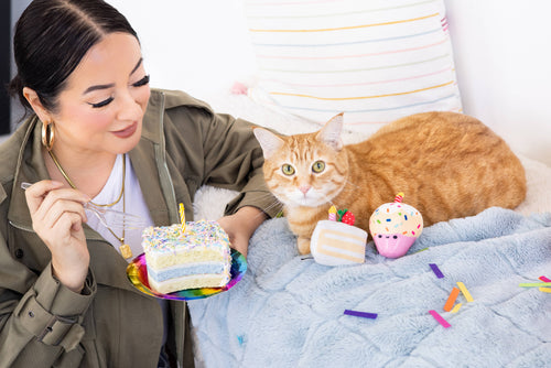 Birthday Cake Cat Toy Set