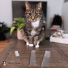 Carding Comb for Cats 7.5 - Gentle and Effective Grooming