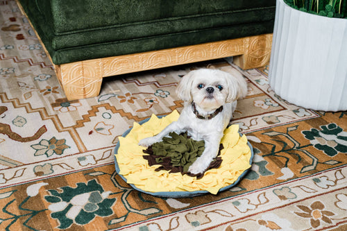 Injoya Sunflower Snuffle Mat