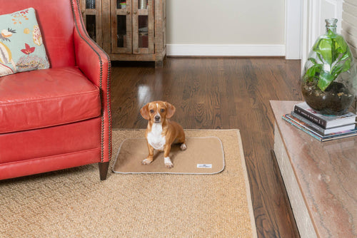 Pawtect® Pads, Premium Washable Dog Pee Pads