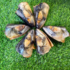 Fish Heads - Freeze Dried Treat/Chew for Dogs