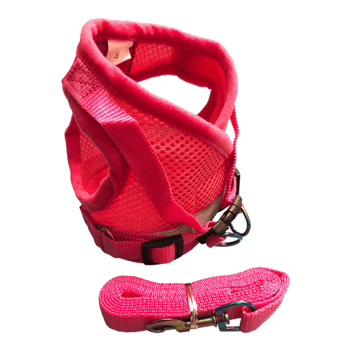 The Purrfectly Pink Iridescent Harness & Leash Set