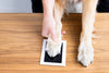 Pet Pawprint Clean-Touch Ink Pad, Medium/ Large, Black