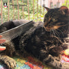 Carding Comb for Cats 7.5 - Gentle and Effective Grooming