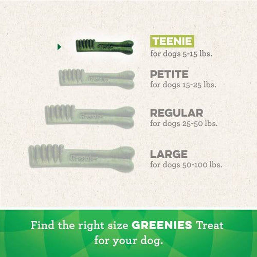 Greenies Fresh Regular Dog Dental Treats - 12 oz
