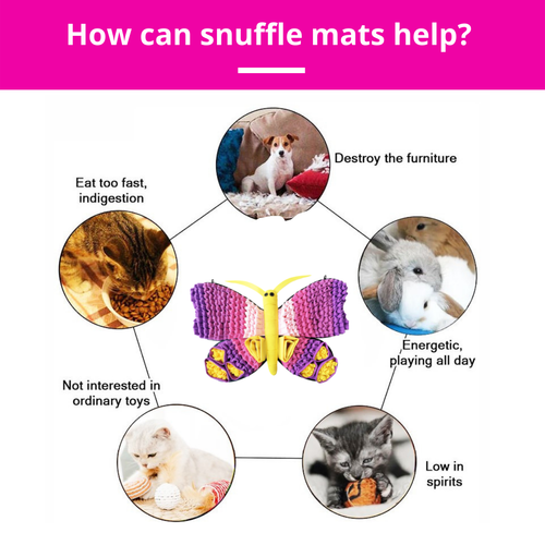 Radiant Butterfly™ Snuffle Mat | Challenge Level 3