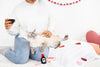 Cheese and Wine Cat Toys, Set Of 2