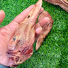 Duck Head - Freeze-Dried Treat/Chew for Dogs