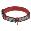 Omega Nylon Flat Collar + Built-in Hook & Loop Fastener