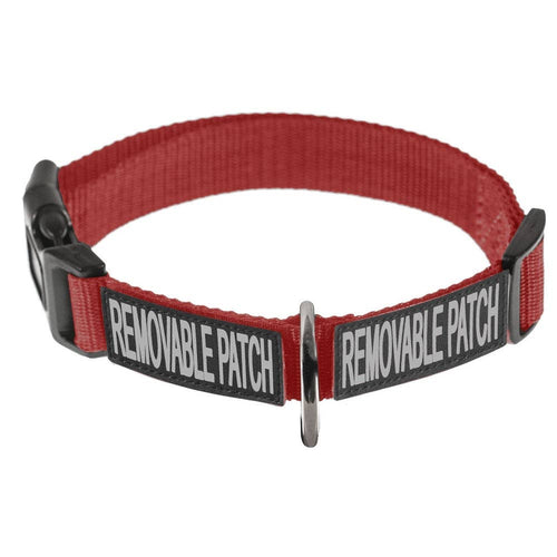 Omega Nylon Flat Collar + Built-in Hook & Loop Fastener