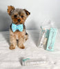 Puppy Polish Toothpaste - Filet Mignon (Beef)