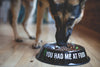 You Had Me At Food Pet Bowl