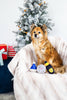Happy Chew Year New Years Dog Toys, Set of 3