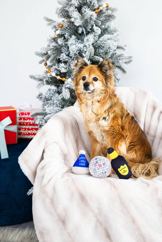 Happy Chew Year New Years Dog Toys, Set of 3