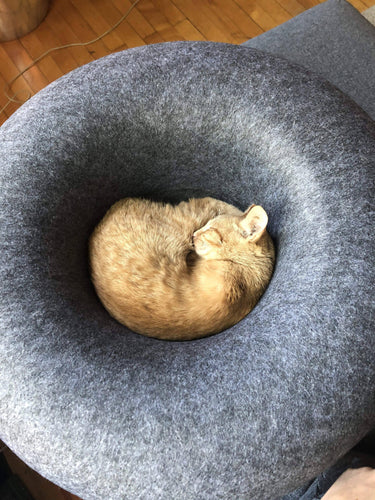 Donut! Cat Hideaway Cave & Bed - Cozy Chic Pet Bed