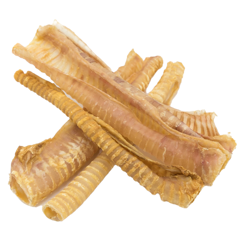 12 Inch Trachea Tube