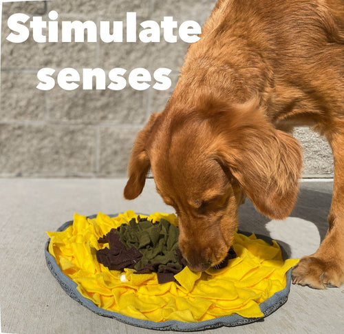 Injoya Sunflower Snuffle Mat
