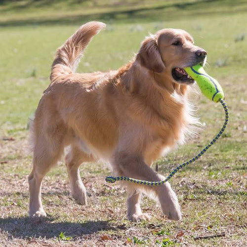 Kong Air Fetch Stick with Rope Large