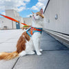 The Pawpsicle Limited Edition Cat Harness & Leash Set