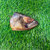 Fish Heads - Freeze Dried Treat/Chew for Dogs