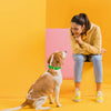 Viper Biothane Waterproof Collar - Brass Hardware