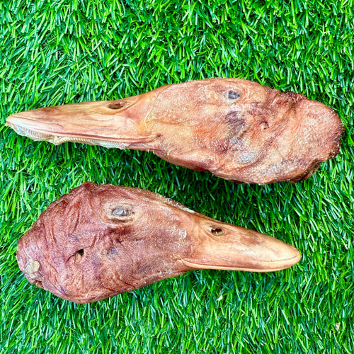 Duck Head- Bag of 5 - Freeze-Dried Treat/Chew for Dogs