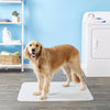 Pawtect® Pads, Premium Washable Dog Pee Pads
