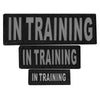 Removable Reflective Patches (Set of 2)
