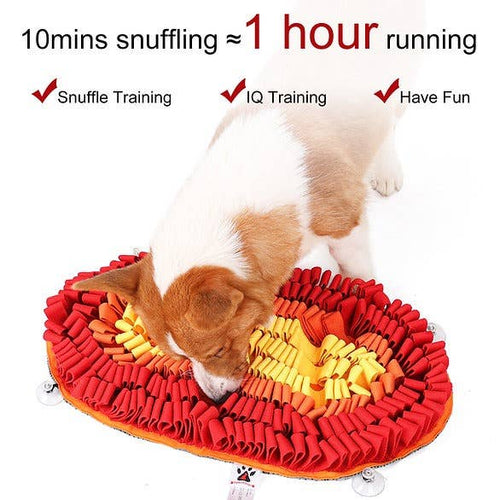 Fire & Ice™ Anti-Bite (Fire) Snuffle Mat | Challenge Level 2