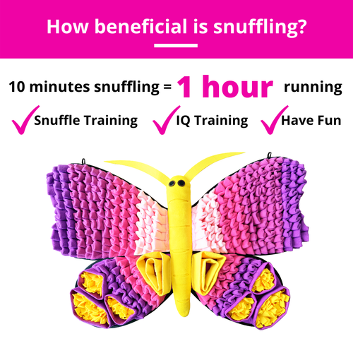 Radiant Butterfly™ Snuffle Mat | Challenge Level 3