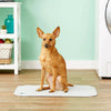 Pawtect® Pads, Premium Washable Dog Pee Pads