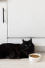 Speckled Cat Bowl, Small