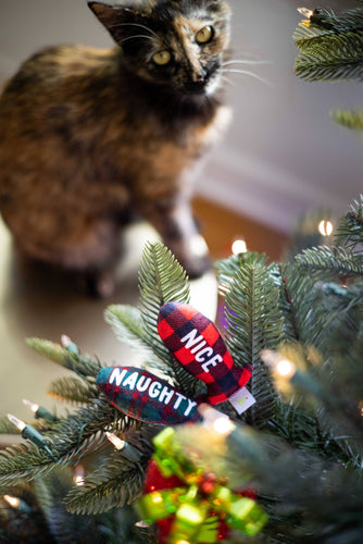 Christmas Naughty & Nice Cat Toys, Set of 2