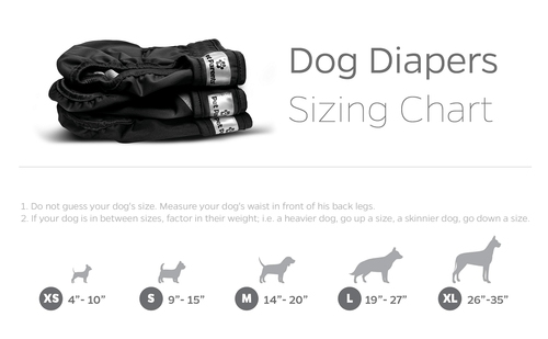 Dog Diapers (3-Pack) + Extendrs®, Washable Dog Diapers