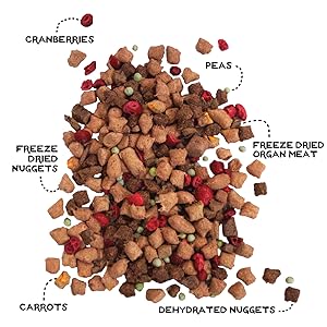 THE SIMPLE FOOD PROJECT BEEF & SALMON RECIPE 6LB - SFW