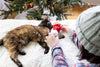 Christmas Hot Cocoa Cat Toys, Set of 2