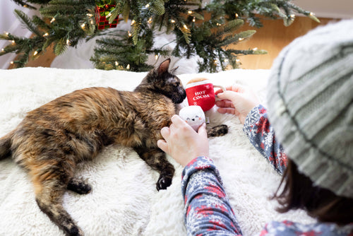Christmas Hot Cocoa Cat Toys, Set of 2