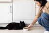 Speckled Cat Bowl, Small