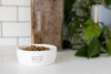 Speckled Cat Bowl, Small
