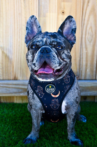 Manifest That Sh*t | Moon Reversible Harness