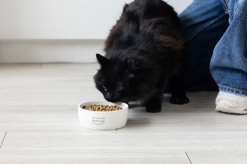 Speckled Cat Bowl, Small