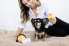Dogkatsu Ramen Dog Toys, Set of 3