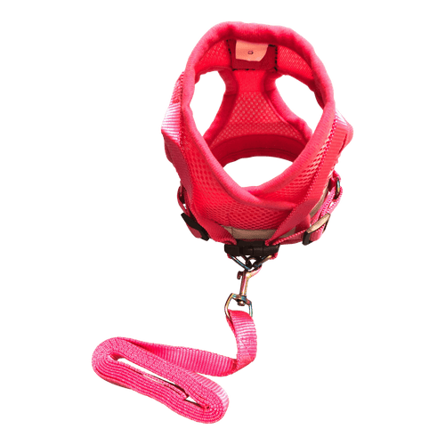 The Purrfectly Pink Iridescent Harness & Leash Set