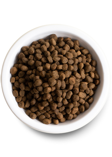Open Farm Wild-Caught Salmon & Ancient Grains Dry Dog Food