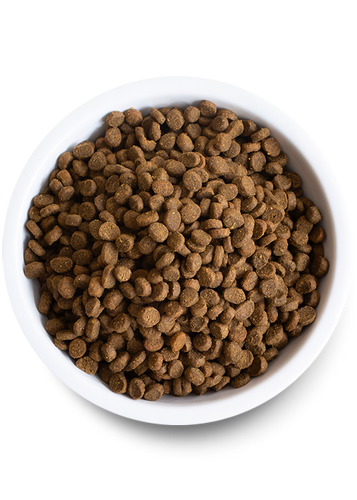 Open Wild-Caught Salmon Dry Cat Food