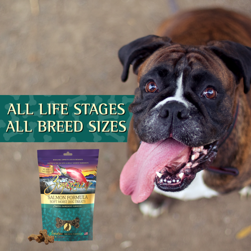 Zignature Salmon Soft Moist Treats for Dogs