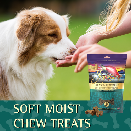 Zignature Salmon Soft Moist Treats for Dogs