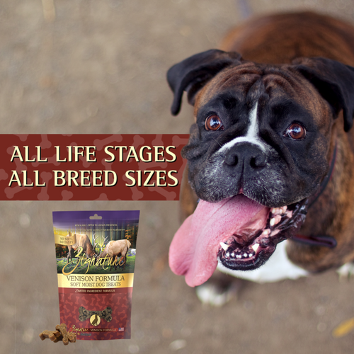 Zignature Venison Soft Moist Treats for Dogs