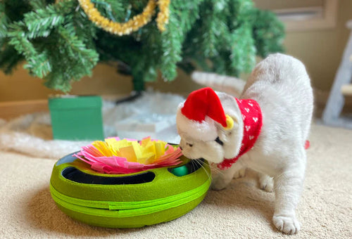 Injoya Cat Puzzle Toy