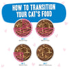 Weruva BFF OMG Gravy Tuna & Chicken Chase Me Dinner in Gravy Cat Food